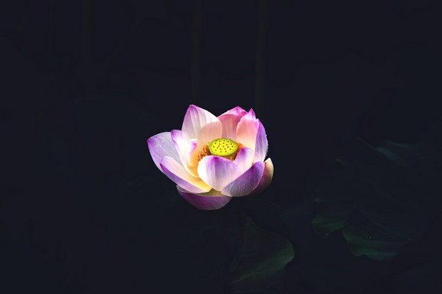 76608849_5 (复制).jpg